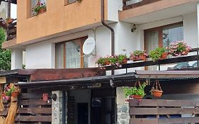 Guest House Markovi